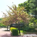 난지천3(축구장) 이미지