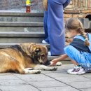 평화목욕탕 이미지