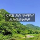 동가래별빛 - 1464 | 동가래별빛