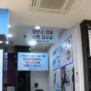 비치나안경 이미지