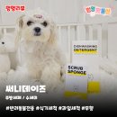 써니유통 | 반려동물전용 써니데이즈 주방세제 | 무향이라 더 좋아! 수세미까지 만족한 내돈내산 후기