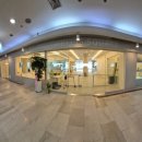 웰리스 동물병원 이미지