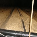 이관수농장 이미지