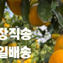 제주푸른컴퍼니 이미지