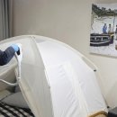 펫빌리지 | 세스코 공간케어 제네시스 프리빌리지 멤버십 혜택 펫 솔루션 후기