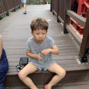 하늘연캠핑장 이미지