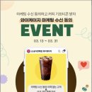 와이31