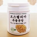허브인 이미지