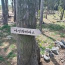우정원베이커리제주삼나무점