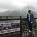 금산분재펜션 | #금산 #짚핑장예약하기#대둔산 드라이브 즐기기