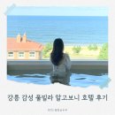 애플호텔펜션 | 강릉 사천해수욕장 오션뷰 신상 감성 풀빌라 펜션 알고보니 호텔 숙소 후기