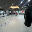 L 복싱 GYM 이미지
