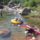 유평농장 이미지