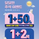 오렌즈원주단구점 | 오렌즈 추석 세일 총정리, 원데이·한달용 인기 렌즈 추천