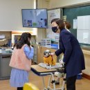 삼호초등학교 이미지