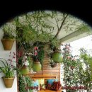 정원인테리어 이미지