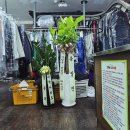 횃불세탁소 이미지