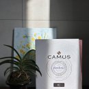 까뮤 | 위린이의 꼬냑 후기 [10] &#39;까뮤 XO 보더리&#39;