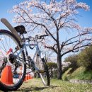 자연을 담고 마음을 나누는 침산에 반하다 이미지