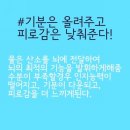 하이점핑다이어트 이미지