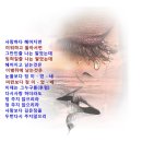 김승덕 / 정주지않으리(반주곡) 이미지