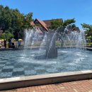 선도목장 이미지