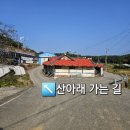 산아래 | 당진 강아지랑 촌캉스 산아래 프라이빗 독채 펜션 B동 솔직후기