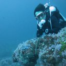 힐포인트 이미지