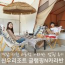 선사애견 | 경남 카라반 캠핑 후기 신우 사천 가성비 애견동반 숙소