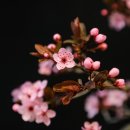 봉곡동046 이미지