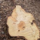 은평-023 이미지