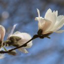 조현우정신건강의학과의원 이미지