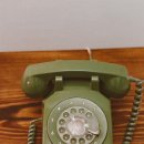 다부초교 이미지