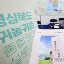 와이(y)