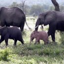 다름성형외과의원 이미지