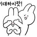 양재초록안경 네이버블로그