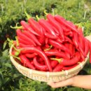 병암서원 | 경상북도 청송군의 특산물, 축제, 그리고 문화유산