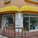 진이와보리의하루 이미지