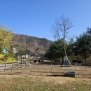 배론이시돌목장