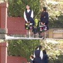 오키드블룸 네이버블로그