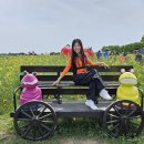 토마토 댄스스포츠학원 이미지