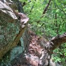 서구-02-42 이미지