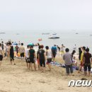 진도