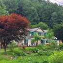 시나몬펜션 이미지