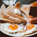 브런치&샌드위치 이미지