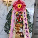 힐스카이플라워