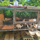 보물섬펜션 이미지