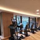 바바휘트니스 이미지