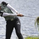 베스트샷 이미지