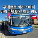 푸에르토바라스 | 칠레에서 아르헨티나 국경 넘어가기 Andesmar 버스 푸에르토 바라스에서 바릴로체 이동 후기